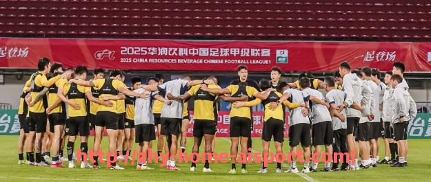 爱体育-2019赛季意甲升级球队背景与表现分析