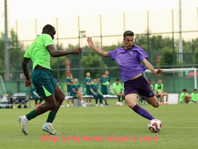 爱体育-世俱杯历届金靴得主名单及其在联赛中的表现对比